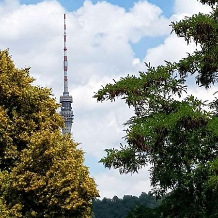 دريسدن Ferienwohnung Elbhangblick - Fur 2 Personen المظهر الخارجي الصورة